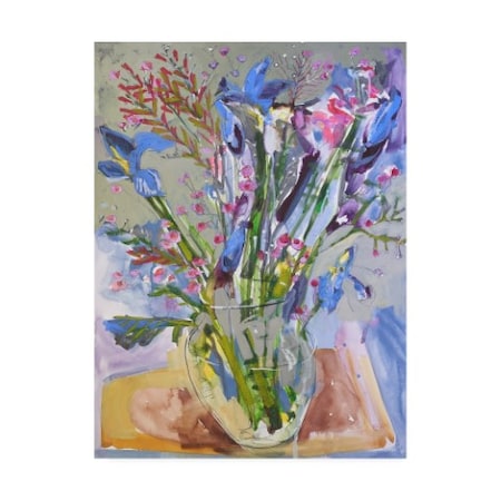 Erin McGee Ferrell 'Maine Spring Flowers II' Canvas Art,14x19